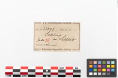 Etiketten zu Bronzearmreif (NHMW-PRAE-023697)